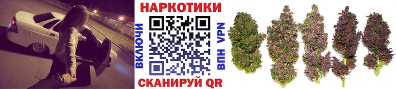 Магазины продажи наркотиков Аргун Альфа ПВП  Конопля  Мефедрон  ГАШИШ 