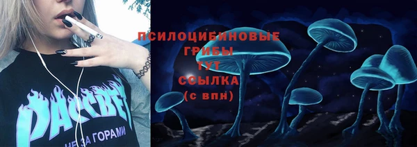 прущие грибы Алексеевка