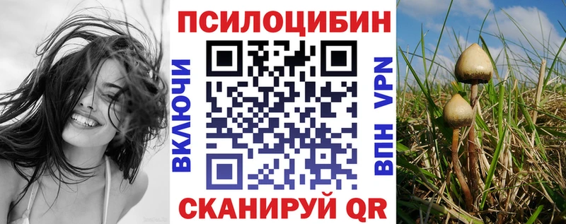 Галлюциногенные грибы ЛСД  Аргун 