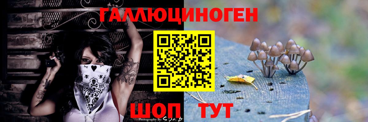 Аргун  Псилоцибиновые грибы прущие грибы  Вход с VPN  Псилоцибиновые грибы Psilocybe 